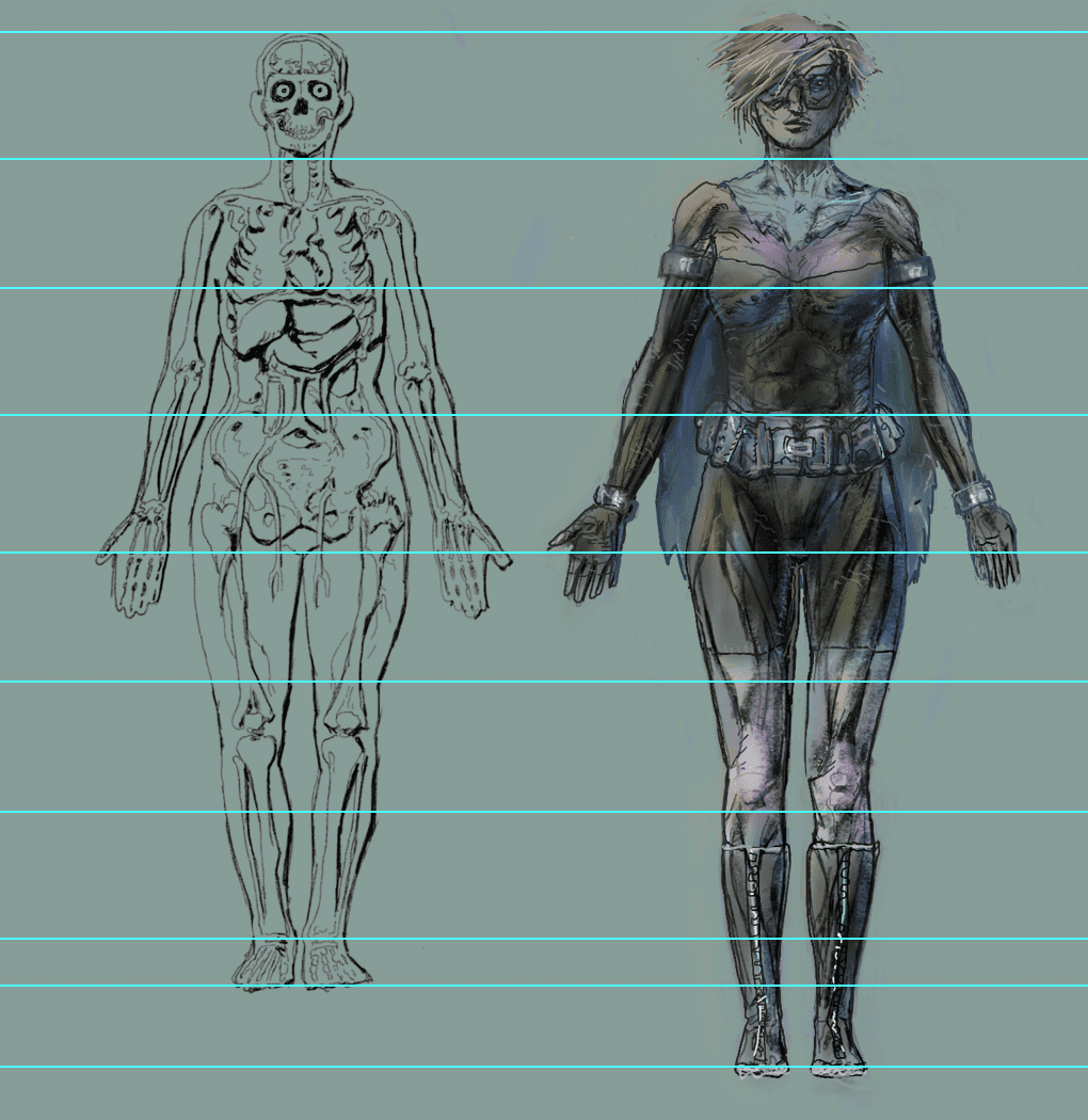 Human Figure Proportions - Anatomy course for artists